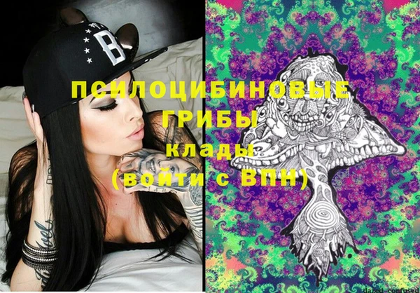ECSTASY Михайловка