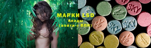 PSILOCYBIN Михайлов